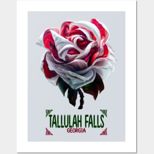 Tallulah Falls Georgia Posters and Art